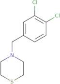 tert-Butyl 2-(5-amino-1,2-oxazol-3-yl)pyrrolidine-1-carboxylate