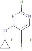 2'-Methyl-4'-piperidine acetic acid