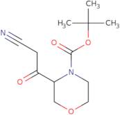 tert-Butyl 3-cyanoacetyl-4-morpholinecarboxylate