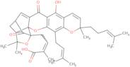 Epigambogic acid