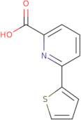 6-Thien-2-ylpyridine-2-carboxylic acid