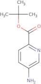 tert-Butyl 5-aminopyridine-2-carboxylate