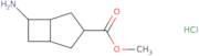 rac-Methyl (1R,5R,6S)-6-aminobicyclo[3.2.0]heptane-3-carboxylate hydrochloride