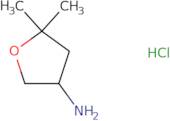 5,5-Dimethyloxolan-3-amine hydrochloride