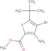 Methyl 3-amino-4-bromo-5-tert-butylthiophene-2-carboxylate