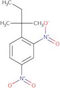 1-(2-Methylbutan-2-yl)-2,4-dinitrobenzene