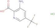 3-Amino-5-(trifluoromethyl)pyridine-2-carboxylic acid hydrochloride