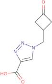 1-[(3-Oxocyclobutyl)methyl]-1H-1,2,3-triazole-4-carboxylic acid