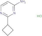 2-Cyclobutylpyrimidin-4-amine hydrochloride