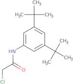 2-Chloro-N-(3,5-di-tert-butylphenyl)acetamide