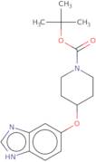 tert-Butyl 4-((1H-benzo[D]imidazol-6-yl)oxy)piperidine-1-carboxylate