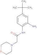 N-[2-Amino-4-(tert-butyl)phenyl]-2-(morpholin-4-yl)acetamide