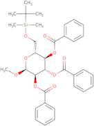 Methyl 2,3,4-tri-O-benzoyl-6-O-tert-butyldimethylsilyl-a-D-glucopyranoside