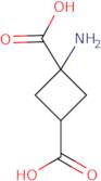 2,4-Methanoglutamic acid