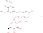 Malvidin-3-galactoside chloride