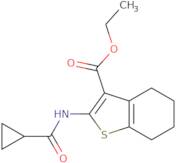 Ethyl 2-cyclopropaneamido-4,5,6,7-tetrahydro-1-benzothiophene-3-carboxylate