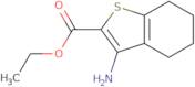 Ethyl 3-amino-4,5,6,7-tetrahydro-1-benzothiophene-2-carboxylate