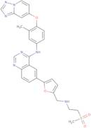 6-[5-[[[2-(Methylsulfonyl)ethyl]amino]methyl]-2-furanyl]-N-[3-methyl-4-([1,2,4]triazolo[1,5-a]pyridin-7-yloxy)phenyl]-4-quinazolinam ine