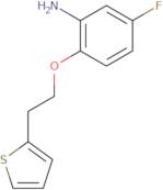 5-Fluoro-2-[2-(thiophen-2-yl)ethoxy]aniline