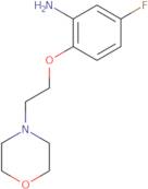 5-Fluoro-2-[2-(morpholin-4-yl)ethoxy]aniline