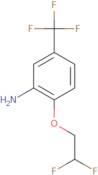 2-(2,2-Difluoroethoxy)-5-(trifluoromethyl)aniline