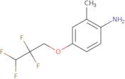 2-Methyl-4-(2,2,3,3-tetrafluoropropoxy)aniline