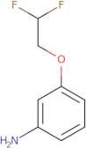 3-(2,2-Difluoroethoxy)aniline