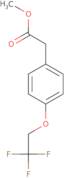 Methyl 2-[4-(2,2,2-trifluoroethoxy)phenyl]acetate