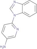 6-(1H-1,3-Benzodiazol-1-yl)pyridin-3-amine