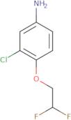 3-Chloro-4-(2,2-difluoroethoxy)aniline