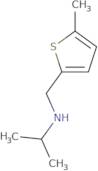 [(5-Methylthiophen-2-yl)methyl](propan-2-yl)amine