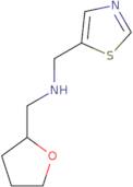 (Oxolan-2-ylmethyl)(1,3-thiazol-5-ylmethyl)amine