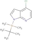 4-Chloro1-(t-butyl-dimethylsilyl)-7-azaindole