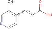 3-(3-Methylpyridin-4-yl)prop-2-enoic acid