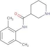 Piperidine-3-carboxylic acid (2,6-dimethyl-phenyl)-amide