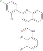 2-(2,4-Dichlorophenyl)-N-(2,3-dimethylphenyl)quinoline-4-carboxamide