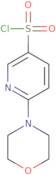 6-Morpholinopyridine-3-sulfonyl chloride