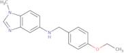(4-Ethoxy-benzyl)-(1-methyl-1H-benzoimidazol-5-yl)-amine