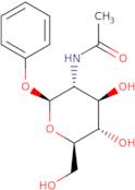 Phenyl 2-acetamido-2-deoxy-Î²-D-glucopyranoside