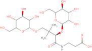 Pantothenic acid 2,4-di-O-b-D-galactopyranoside