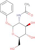 Phenyl 2-acetamido-2-deoxy-a-D-glucopyranoside