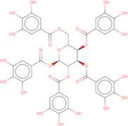 1,2,3,4,6-Penta-O-galloyl-a-D-glucopyranose