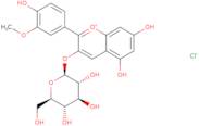 Peonidin 3-O-glucoside chloride