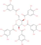 1,2,3,4,6-Penta-O-galloyl-D-glucopyranose