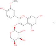 Peonidin-3-O-arabinoside chloride