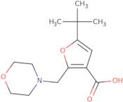 5-tert-Butyl-2-morpholin-4-ylmethyl-furan-3-carboxylic acid