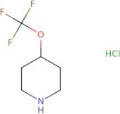 4-(Trifluoromethoxy)piperidine HCl