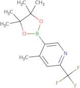 2-(Trifluoromethyl)-4-methyl-5-(4,4,5,5-tetramethyl-1,3,2-dioxaborolan-2-yl)pyridine