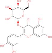 Quercetin 3-b-D-galactoside