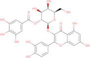 Quercetin 3-b-galactoside-2'-O-gallate